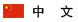中文